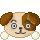 ���̨��